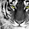 Аватар: Татьяна Коростина