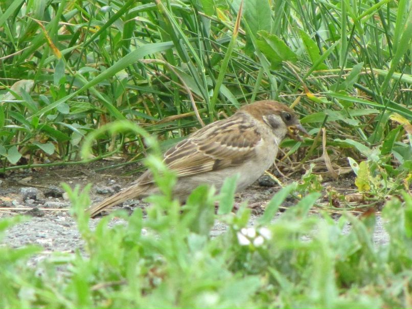 Яна Куклина Dance-Life | Мурманск