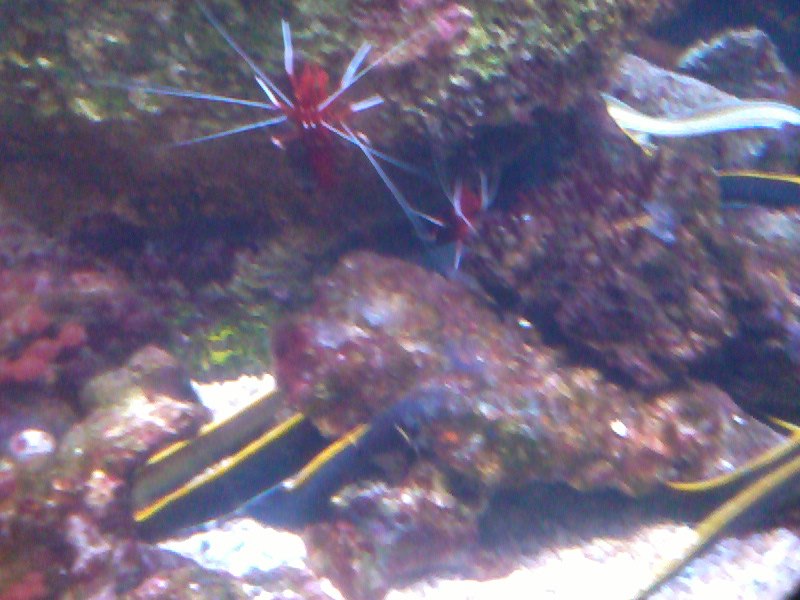 Татьяна Баранова | Санкт-Петербург