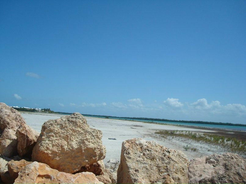 Александра Леванова | Пермь