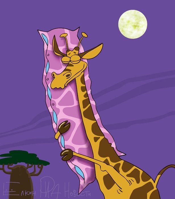 Анастасия Колмогорова | Всеволожск