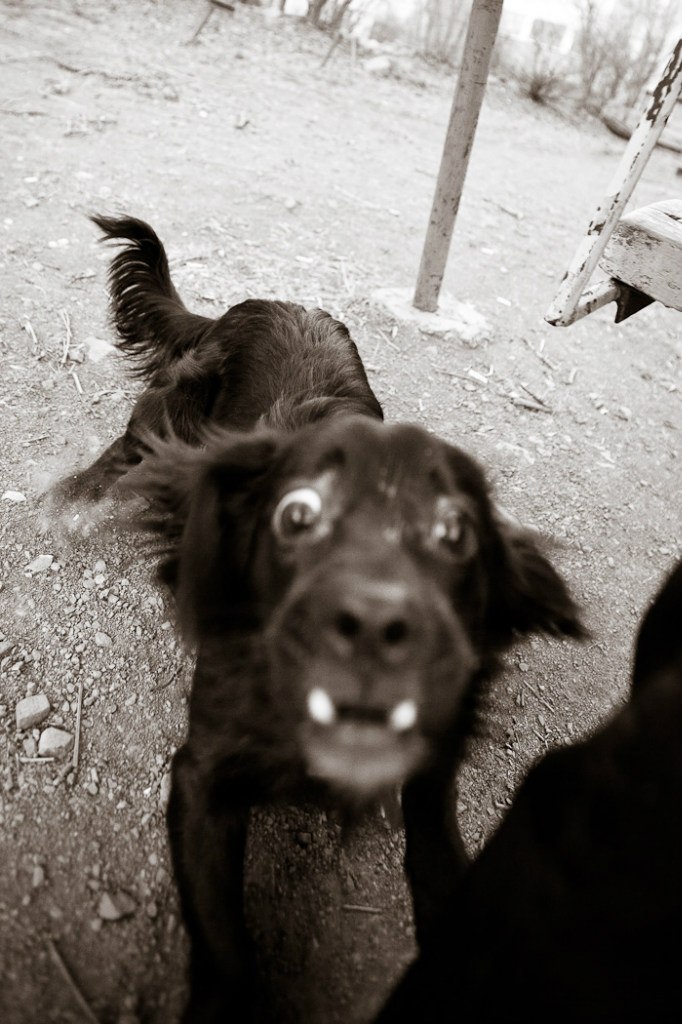 Лёля Холкина | Владивосток