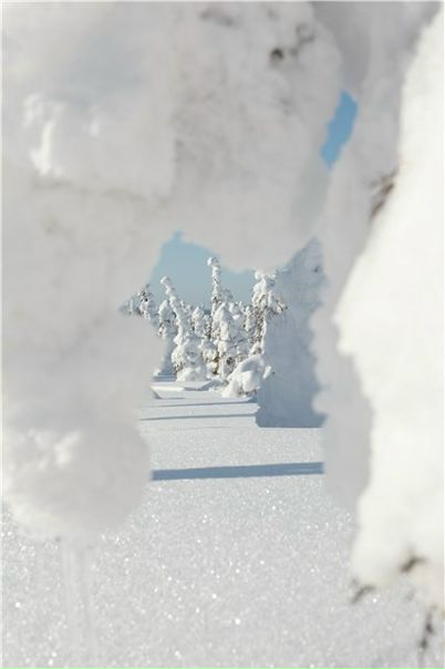 №80, Ольга Сорокина, Кострома №80, Ольга Сорокина, Кострома