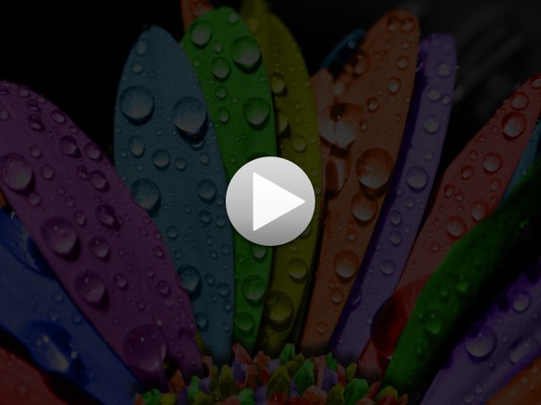 Виктория Пищако | Барановичи