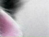 Оля Гисем | Киев