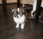 №19 Tinkaaaaaa Aaaaaaaaa 13.01.1987: профиль, фото, статус - ВКонтакте