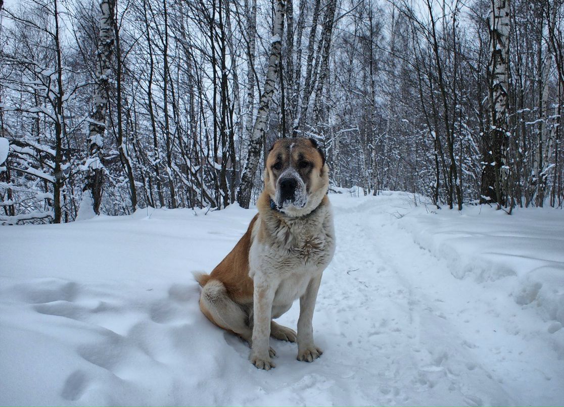 Ася Шторм | Санкт-Петербург