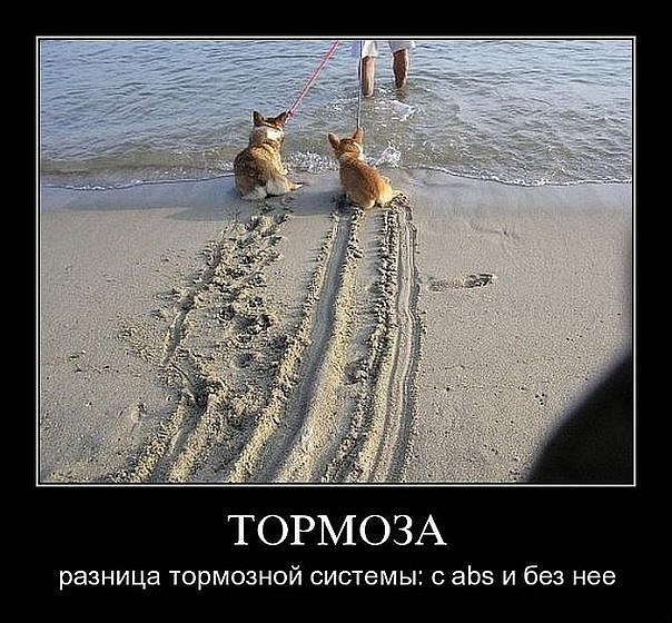 Ирина Тарасова | 