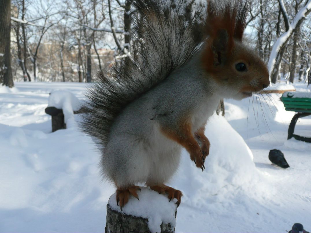 Ольга Леднева | Саратов