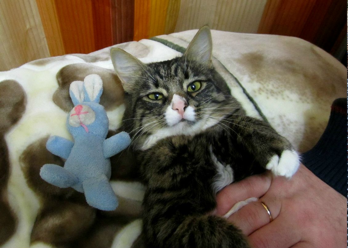 Ирина Иванина | Тверь