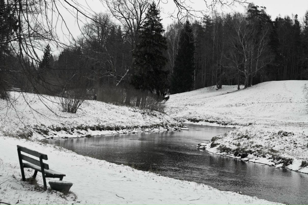Александр Дмитриев Ас | Санкт-Петербург