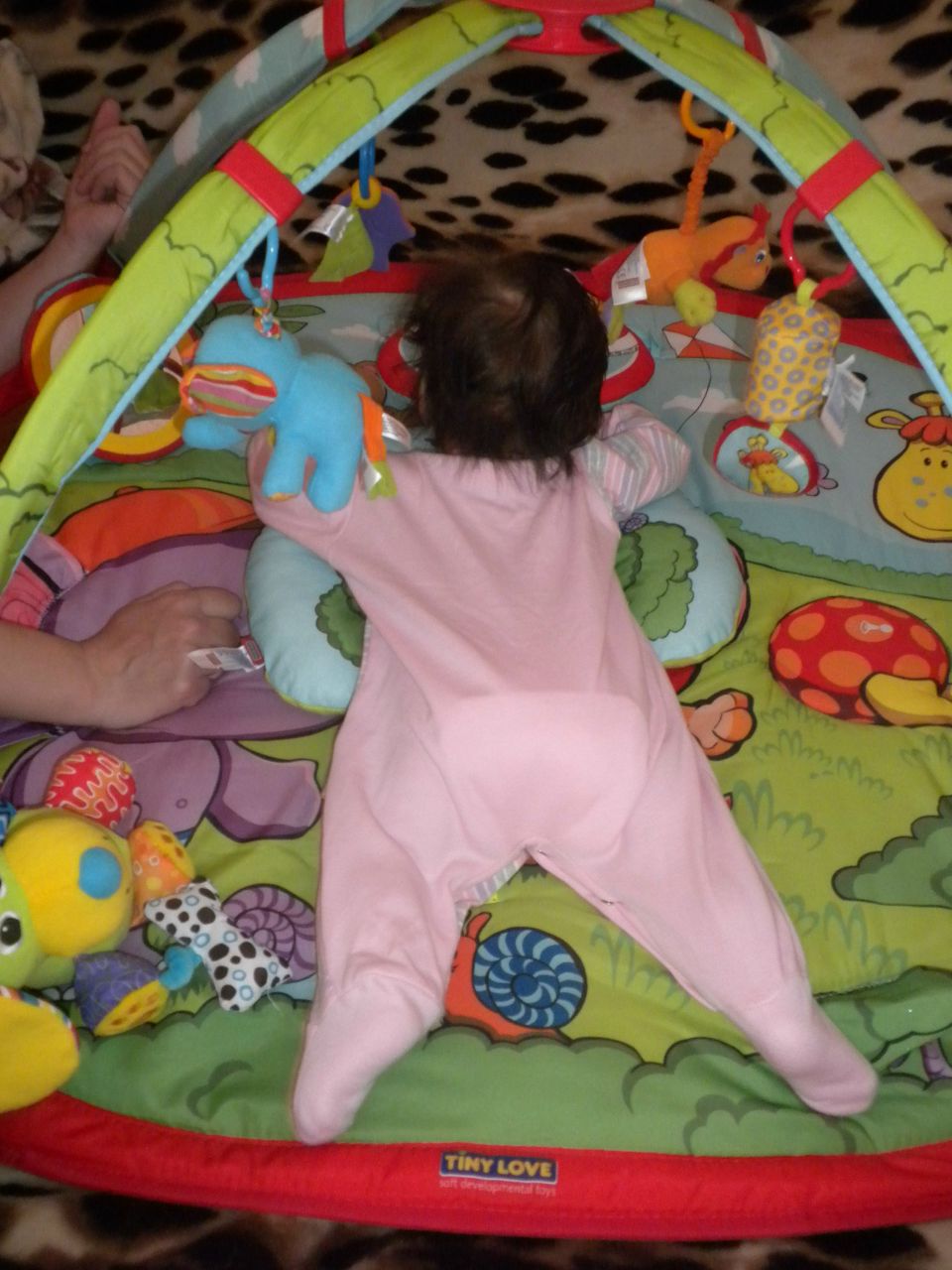 Олеся Тимченко | Одесса