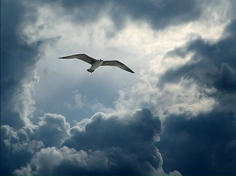 №40, Катя Каменская, 38 лет, San Francisco №40, Катя Каменская, 38 лет, San Francisco