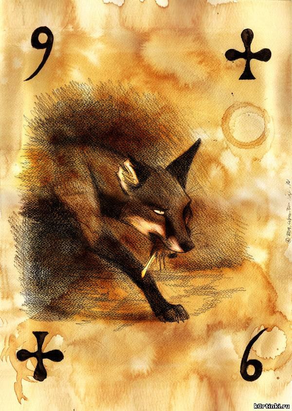 Анюта Желнина ♫ ka†ze ♪ | Санкт-Петербург