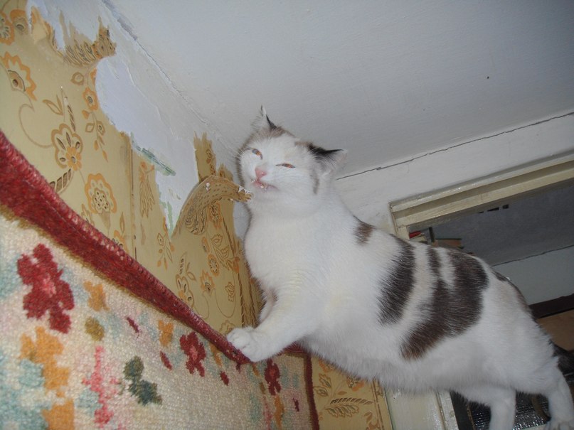 Полина Умина | Первоуральск