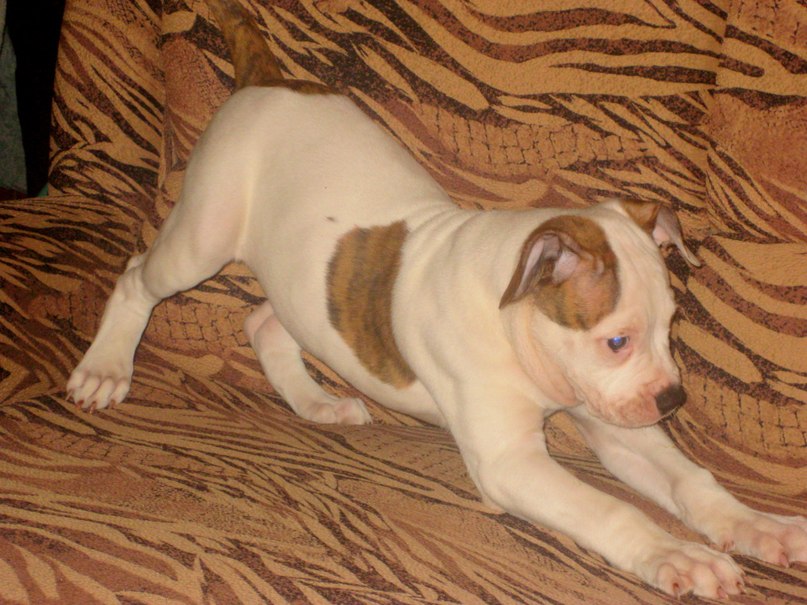 Жека Раджабов | Киев