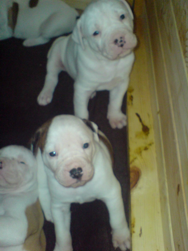 Жека Раджабов | Киев