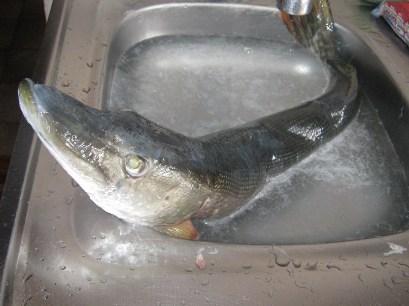 Сергей Назукин | Ульяновск