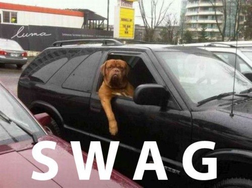 Тёма Сплавил | Москва