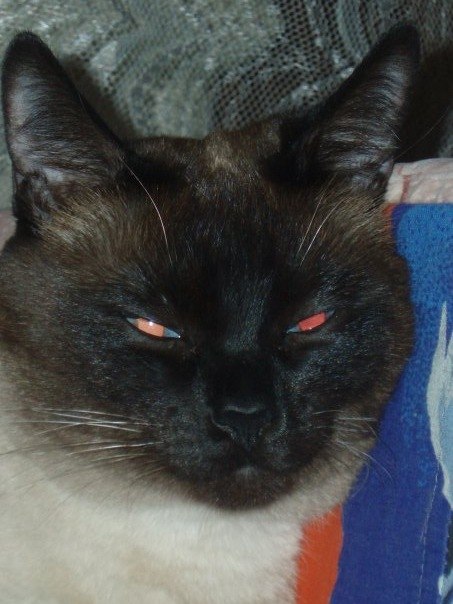 №152, Анастасия Кузнецова, Zürich №152, Анастасия Кузнецова, Zürich