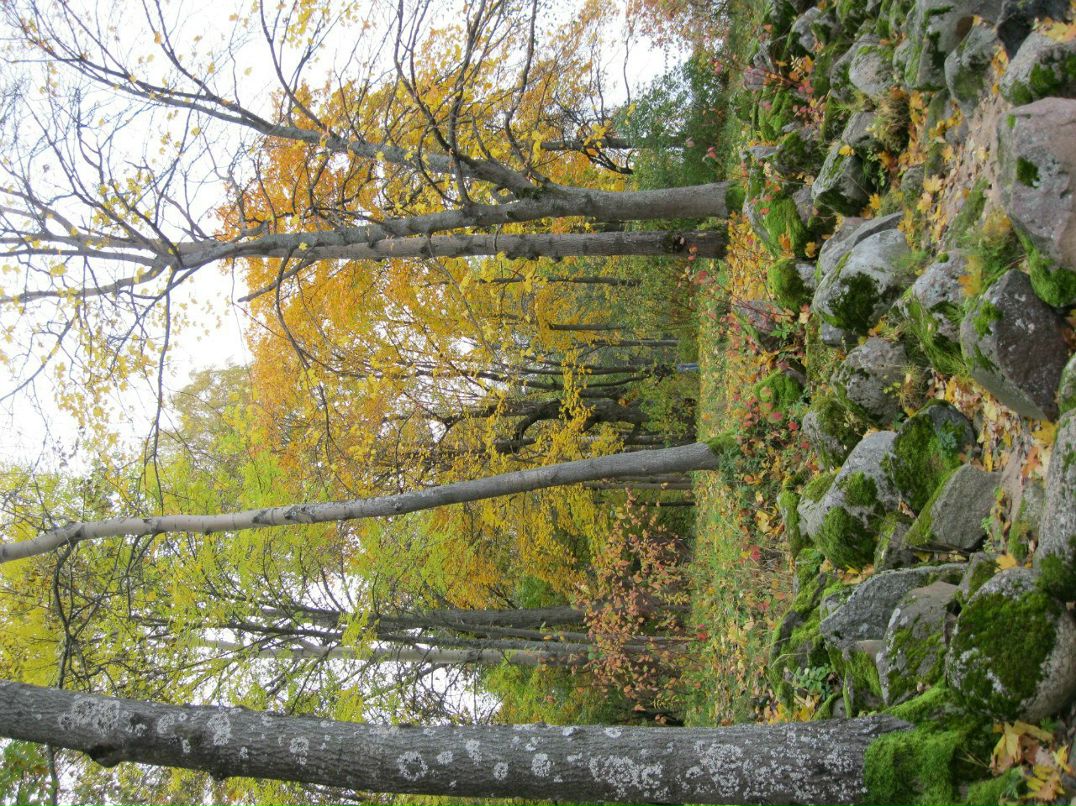 Марина Хахалина | Санкт-Петербург