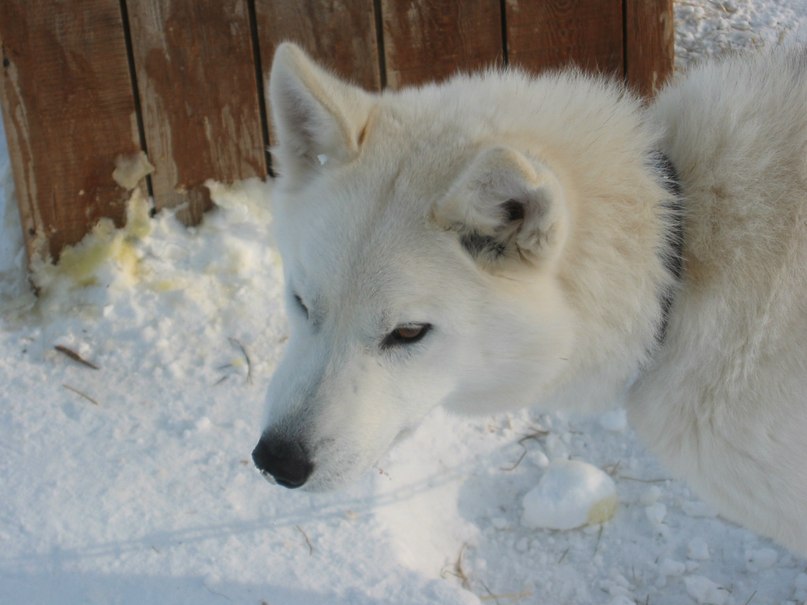 Анастасия Трофимова | Петропавловск-Камчатский