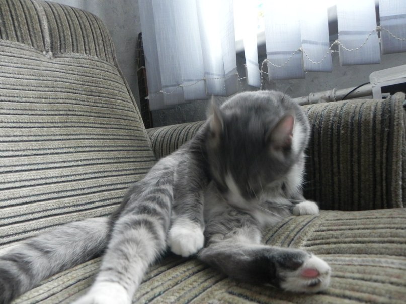 Максим Мусапиров | Санкт-Петербург