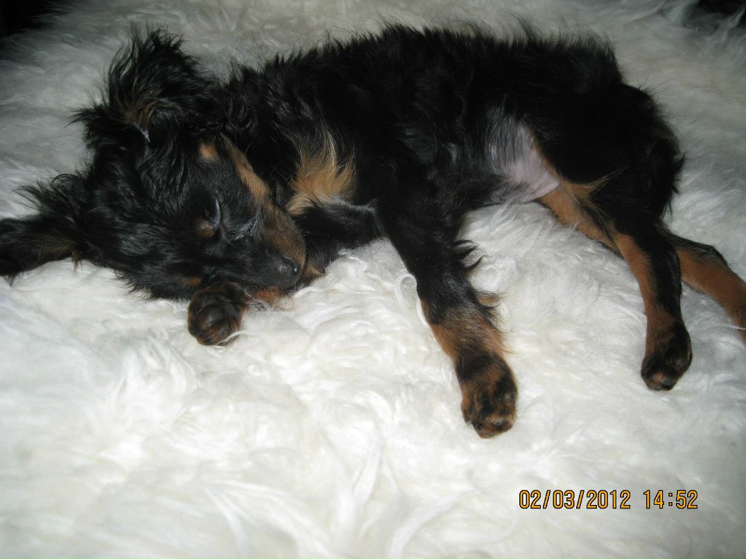 Iren Дёмочкина | 