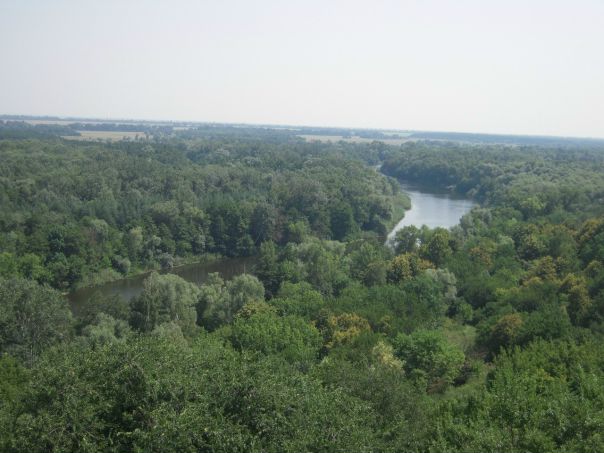 №61, Рома Шепель, 30.11, Горишние Плавни / Комсомольск №61, Рома Шепель, 30.11, Горишние Плавни / Комсомольск