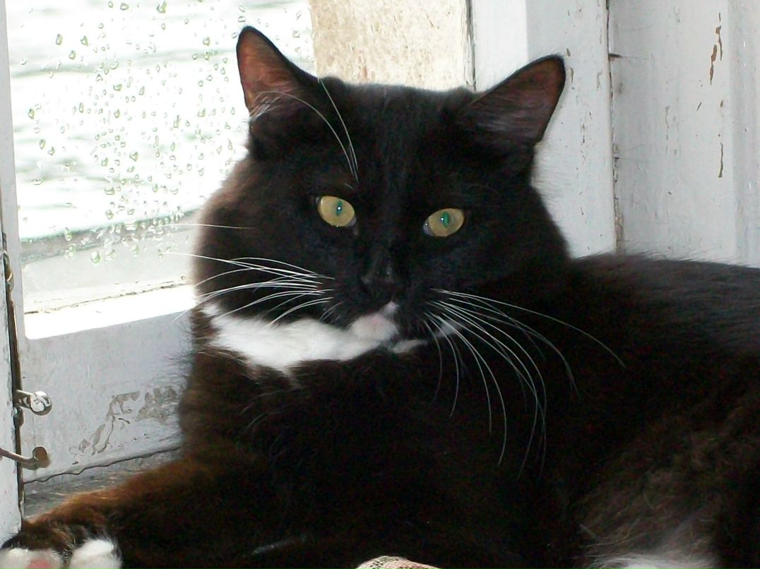 Елена Соколова | Пермь