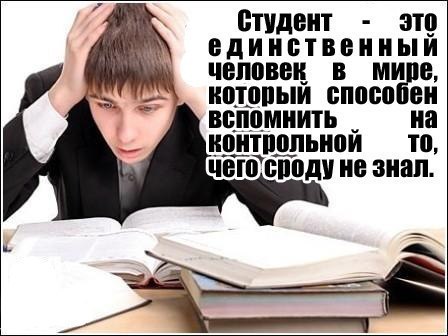 Антон Мерешкин -=Dolphin=- | Златоуст