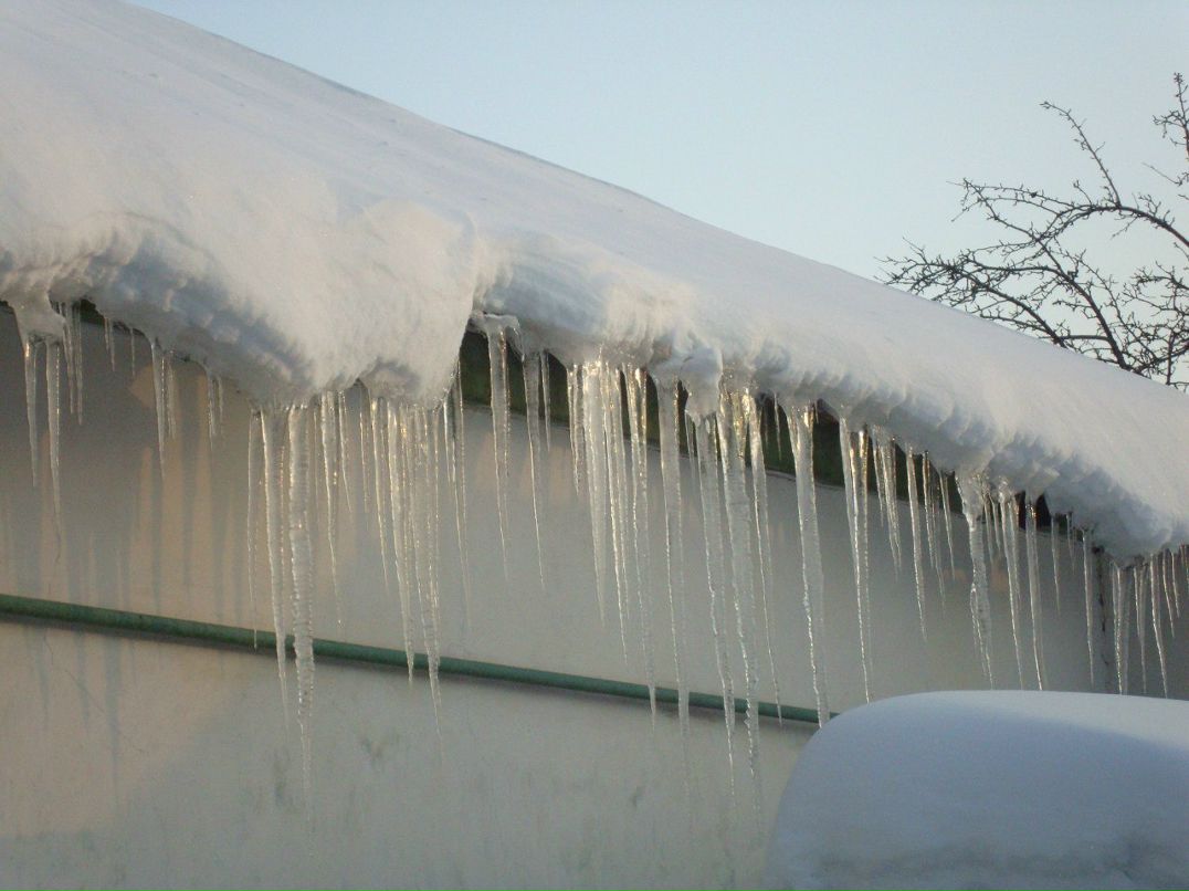 Оксана Попова | Луганск