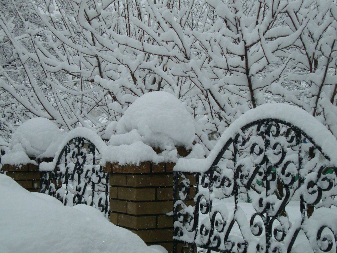 Оксана Попова | Луганск