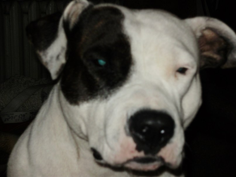 Дима Ртищев ///eXceed/// | Александрия