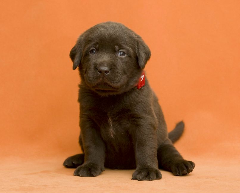 Кристина Постникова | Тюмень