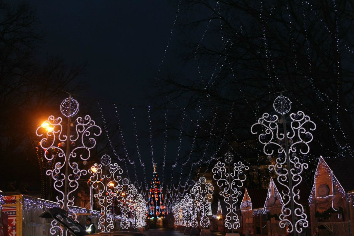 Игорь Шкурыгин | Санкт-Петербург