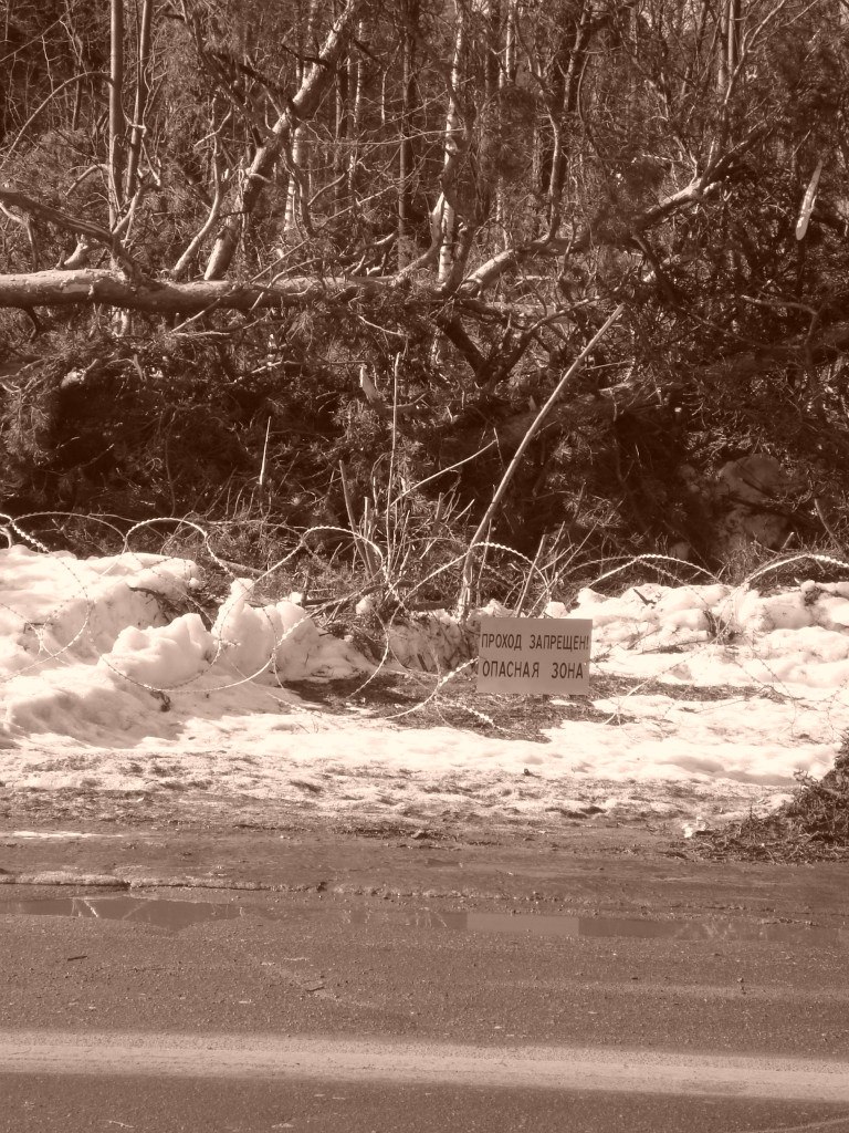 God_весть_ What | Йыхви