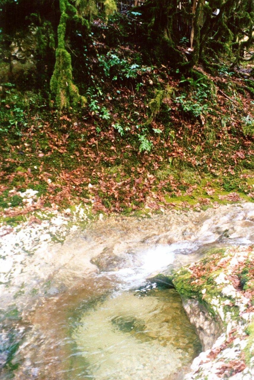 Ольга Старшинова - ostar - | Москва