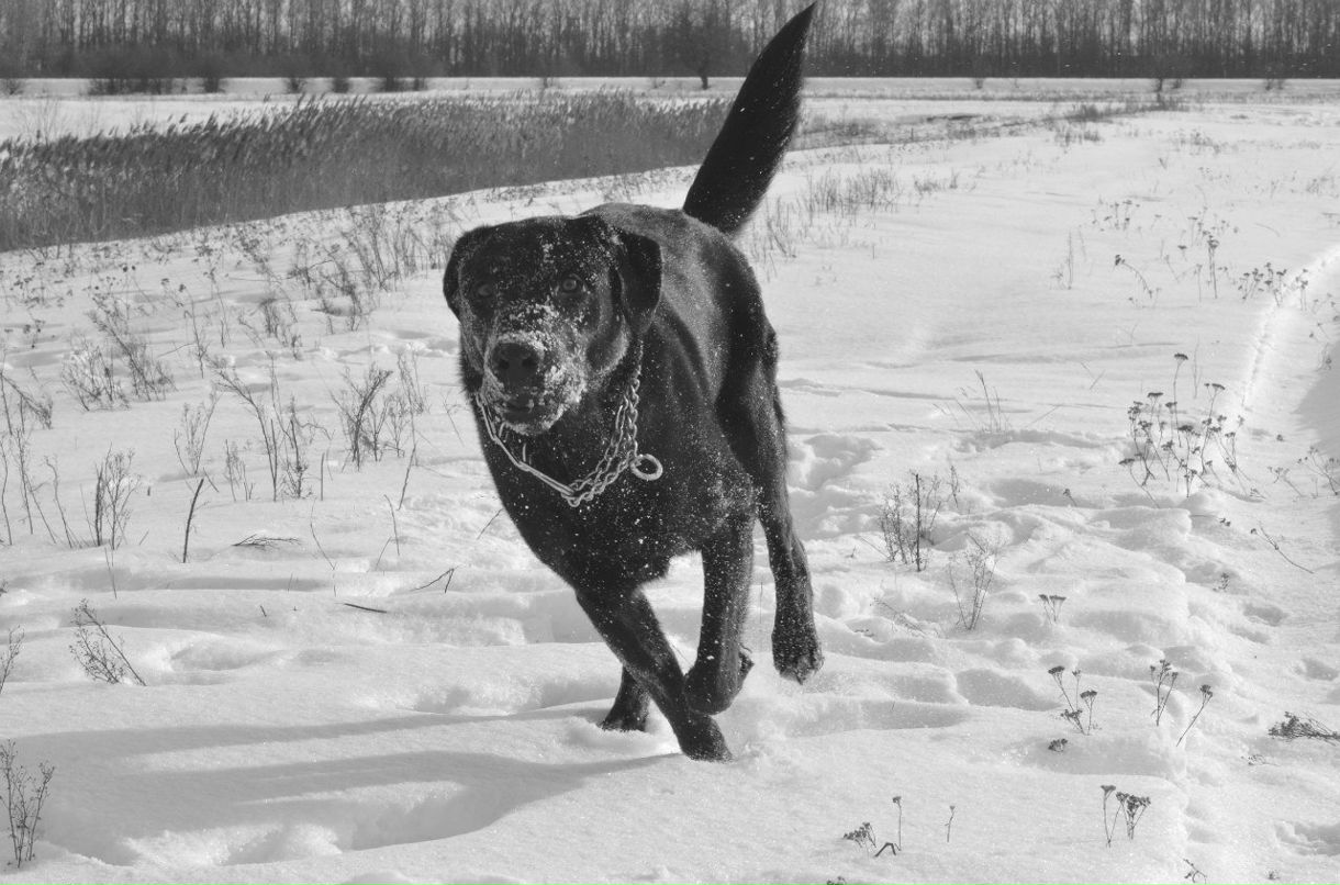 Pasha Dragun Mr.author | Liverpool