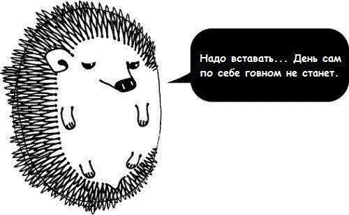 Ирина Фонина | Сергиев Посад