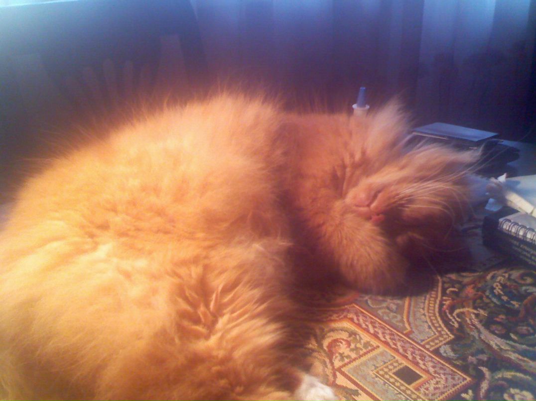 Даниил Сосулин | Москва