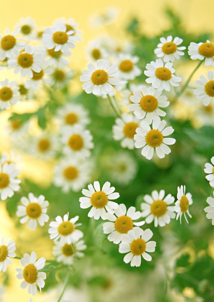 Alexandra Kosinova | Донецк