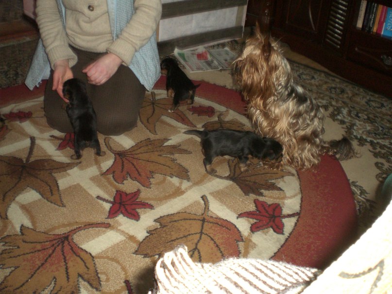 Алексей Бабин | Калининград