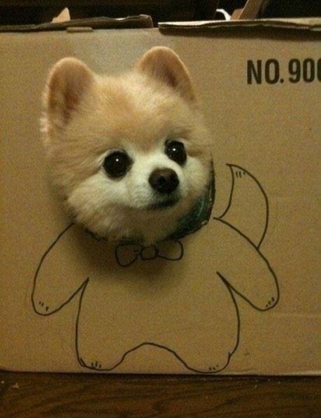 Анжелина Анжелина | Казань