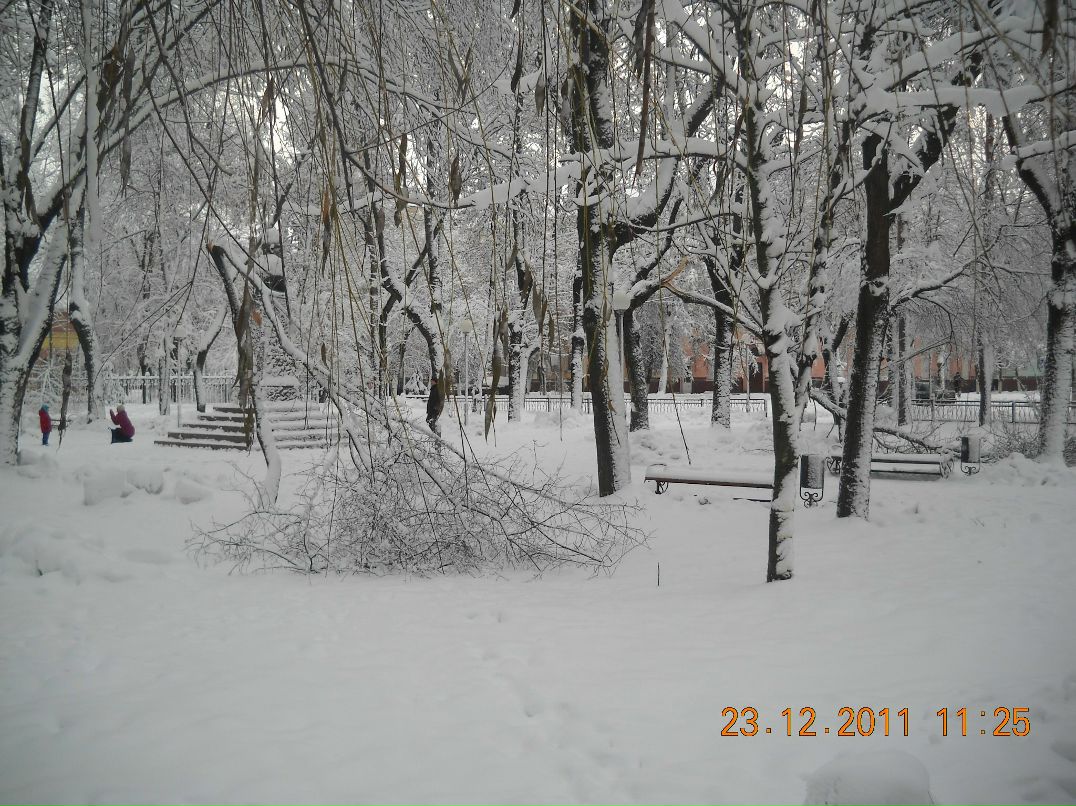 Юрий Бурыкин | Брянск