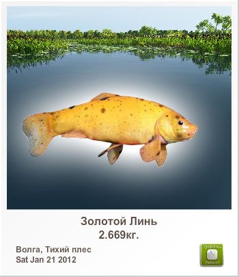 Александр Силин | Великие Луки