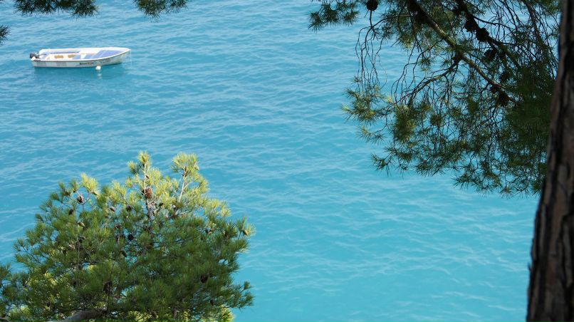 Юлия Колесникова | Москва