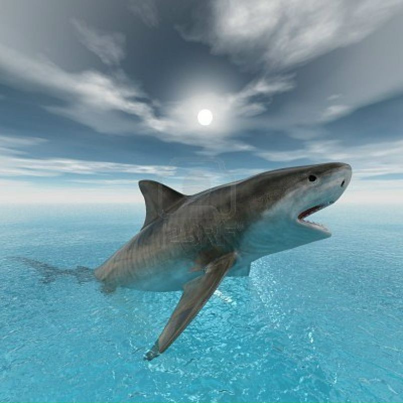 Мария Лысенко | 