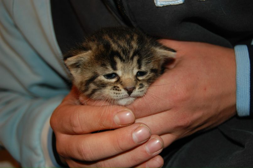 Женя Костін Jmenka | Дрогобыч