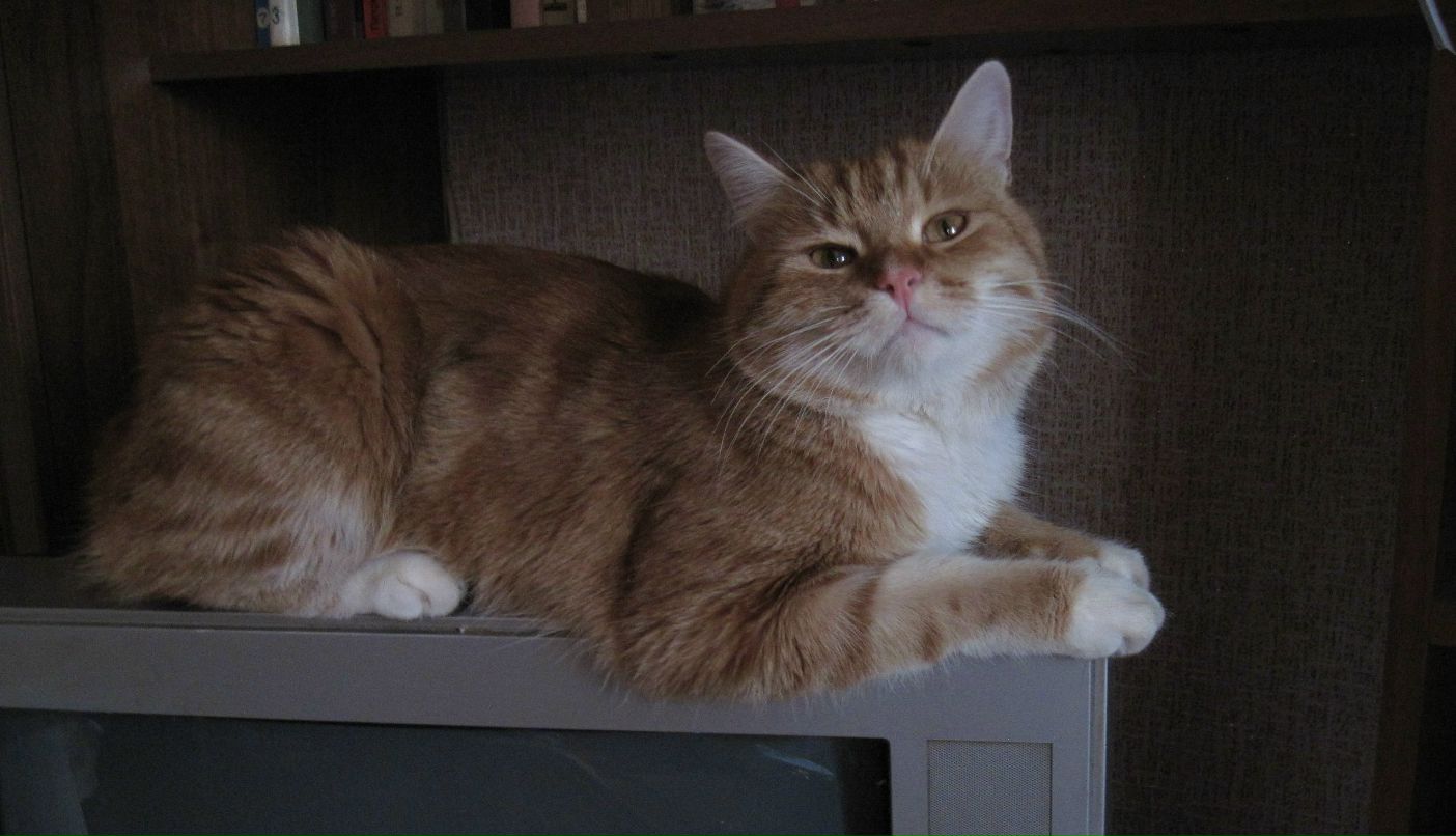 Елена Иванушкина | 